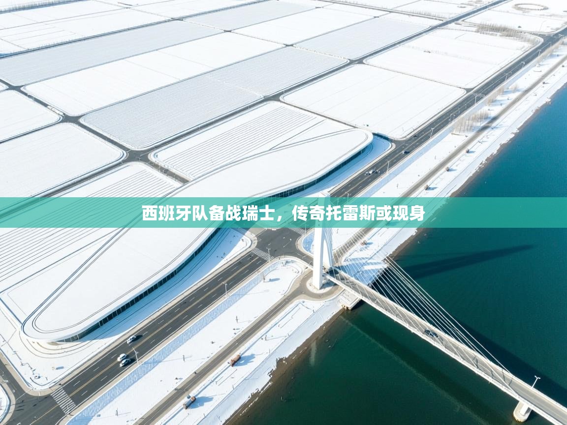 西班牙队备战瑞士，传奇托雷斯或现身  第1张