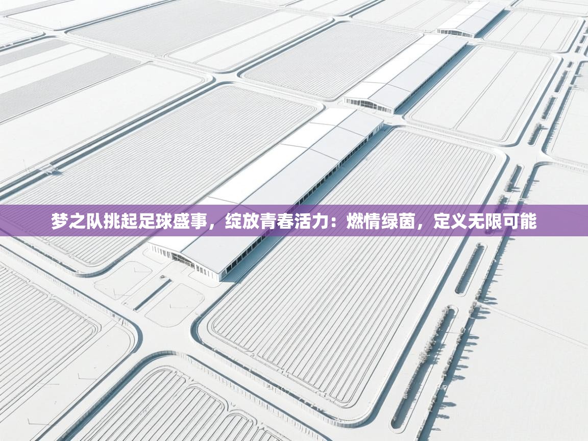 梦之队挑起足球盛事，绽放青春活力：燃情绿茵，定义无限可能  第1张
