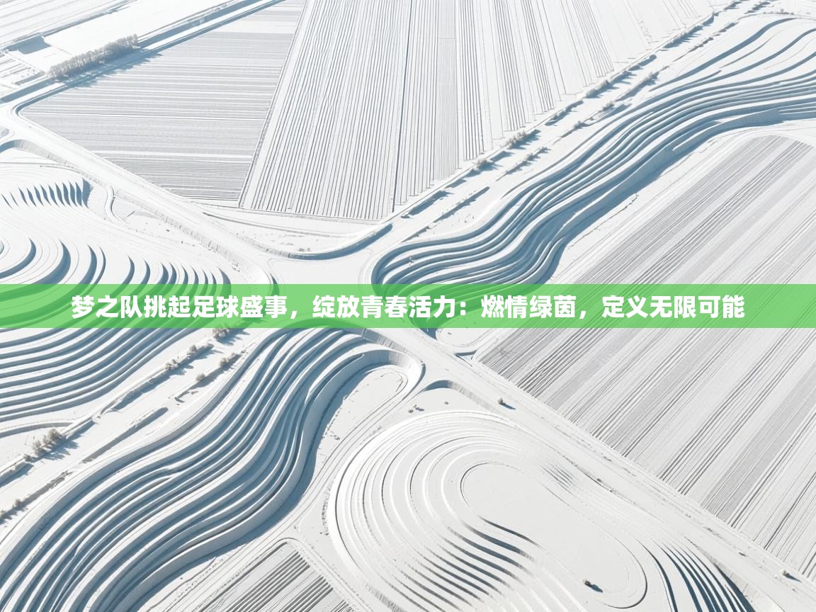 梦之队挑起足球盛事，绽放青春活力：燃情绿茵，定义无限可能  第2张