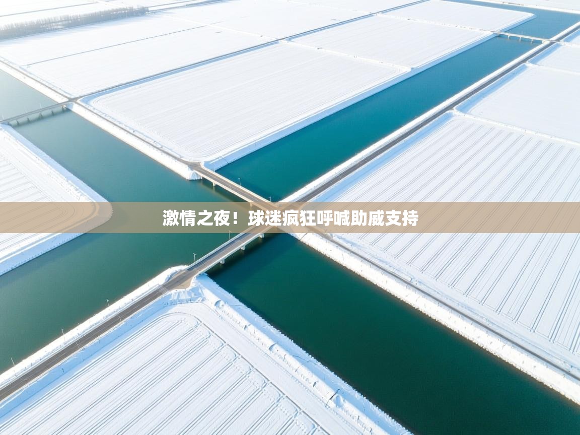 激情之夜！球迷疯狂呼喊助威支持  第1张