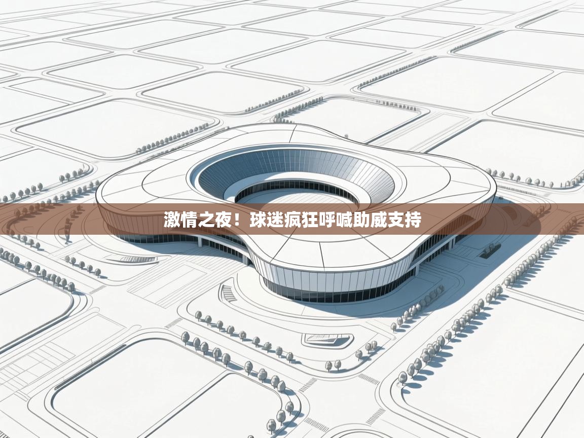 激情之夜！球迷疯狂呼喊助威支持  第2张