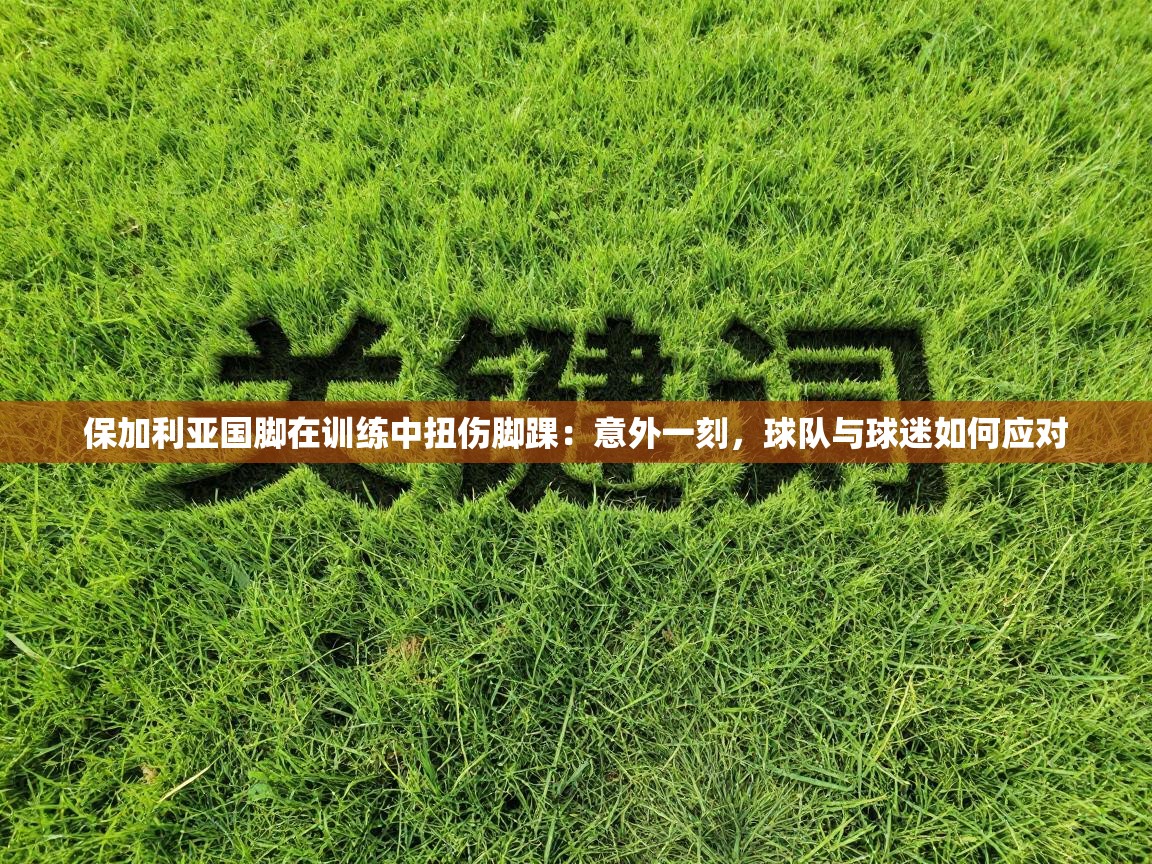 保加利亚国脚在训练中扭伤脚踝:意外一刻,球队与球迷如何应对 第1张