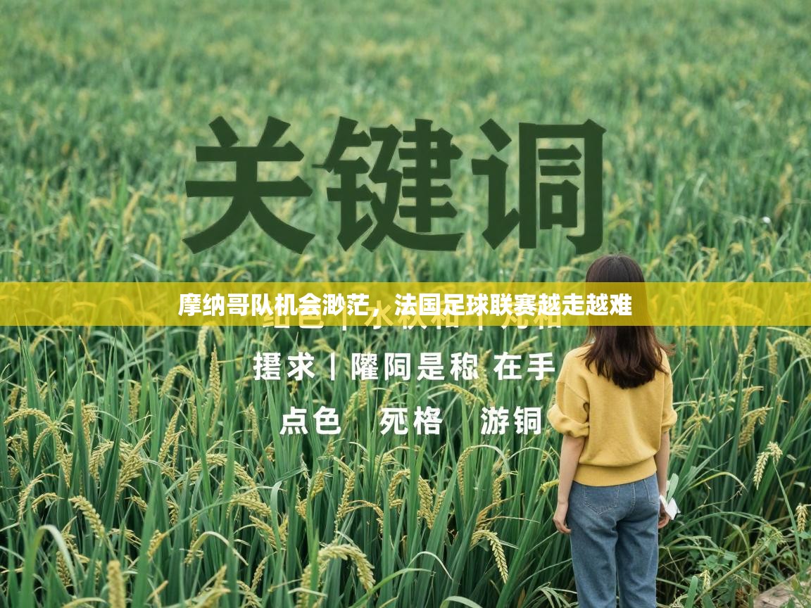 摩纳哥队机会渺茫,法国足球联赛越走越难 第2张