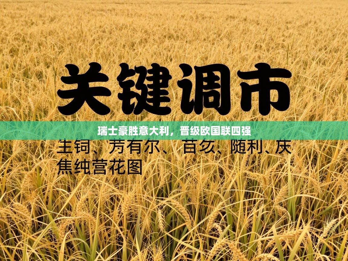 瑞士豪胜意大利,晋级欧国联四强 第2张