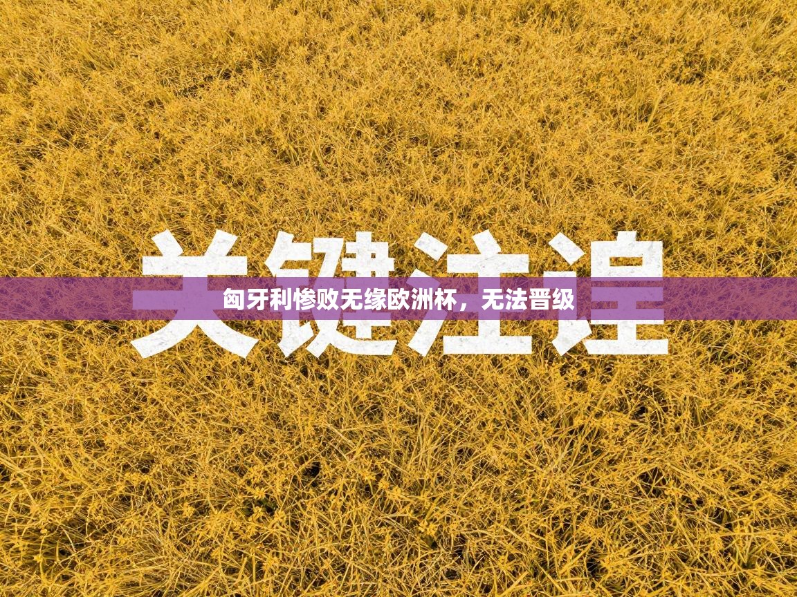 匈牙利惨败无缘欧洲杯，无法晋级  第1张