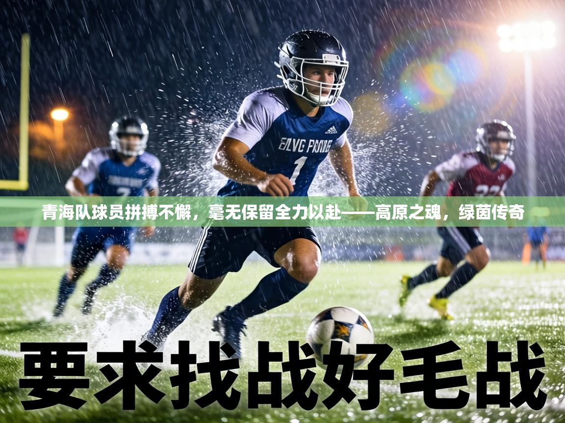 青海队球员拼搏不懈，毫无保留全力以赴——高原之魂，绿茵传奇  第1张