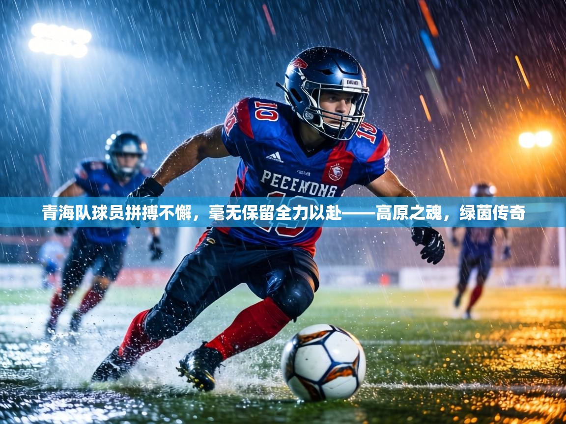 青海队球员拼搏不懈，毫无保留全力以赴——高原之魂，绿茵传奇  第2张